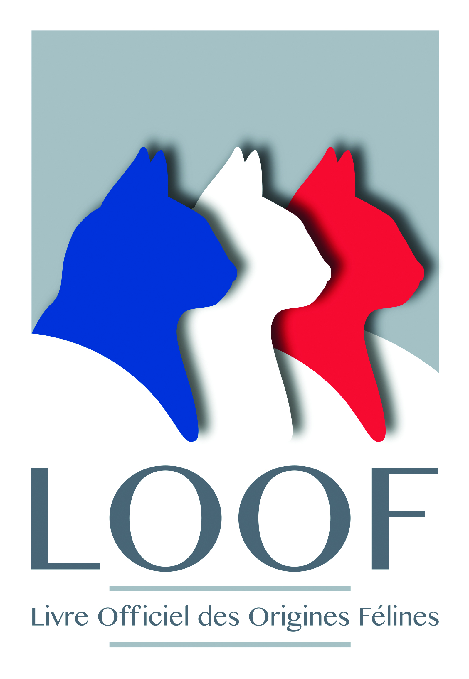 LOGO LOOF